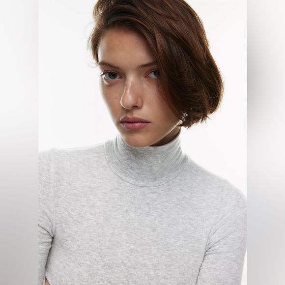 Aritzia Wilfred Only turtle neck - Picture 4 of 8